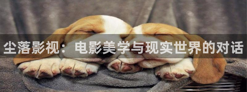 丝瓜视频在线观看